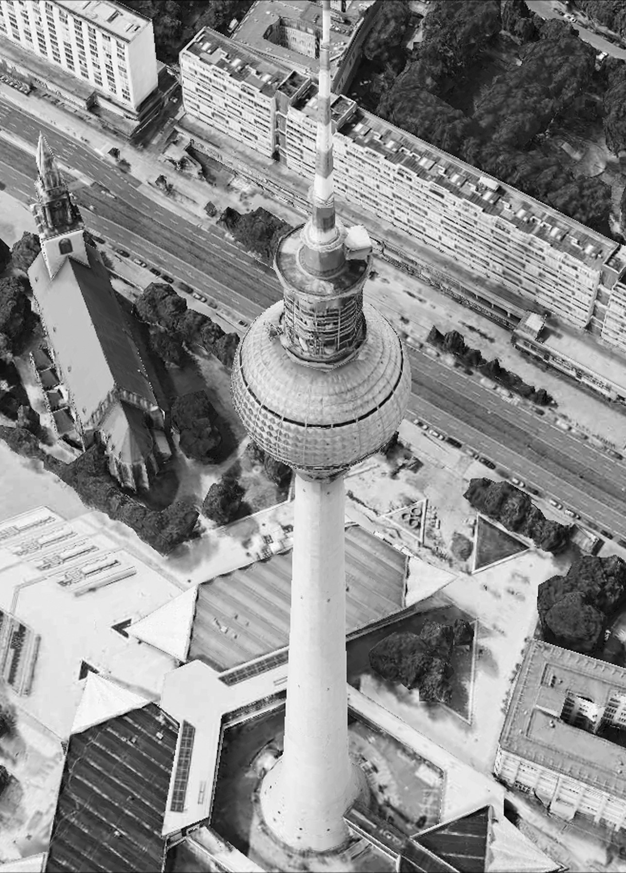 daniela comani milano