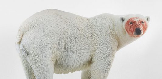 XNL Piacenza Contemporanea, nasce un nuovo spazio interamente dedicato all’arte contemporanea