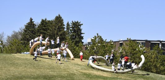 Opening 2020: Nairy Baghramian per Furla Series #03 alla GAM, Milano Furla Series GAM