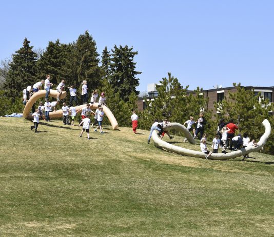 Opening 2020: Nairy Baghramian per Furla Series #03 alla GAM, Milano Furla Series GAM