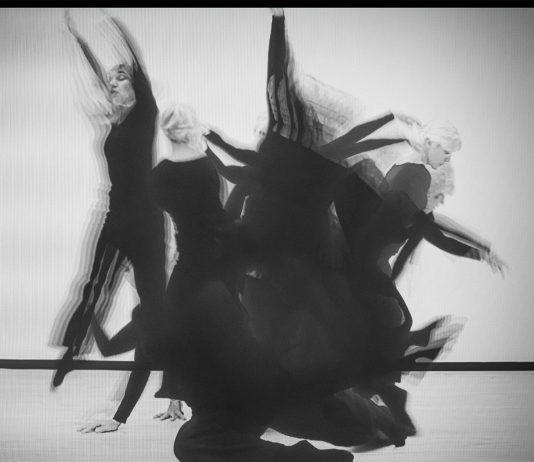 Bologna Indie Art City: la nostra guida, passo dopo passo