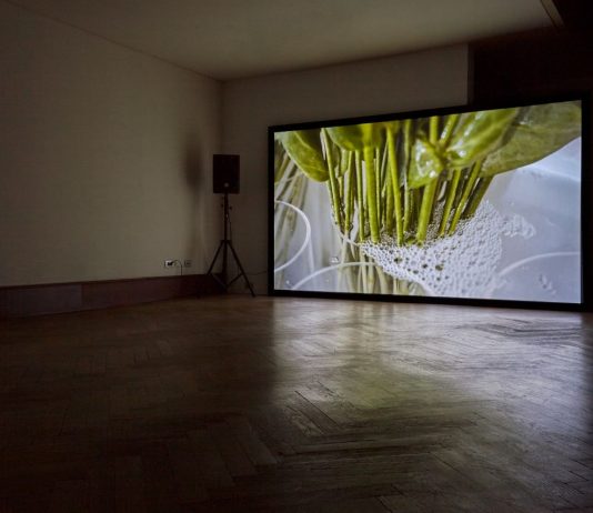 Giovanna Repetto, Atmosfera | Fondazione Berengo Giovanna Repetto - Atmosfera