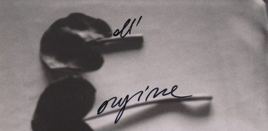 Immagini e parole da Librosogni: Reverie ci racconta il suo libro d’artista