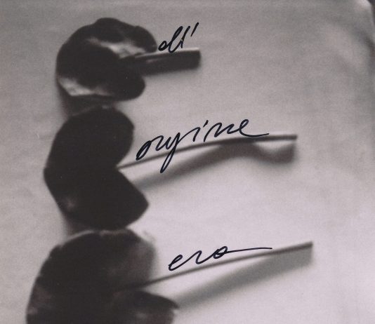 Immagini e parole da Librosogni: Reverie ci racconta il suo libro d’artista