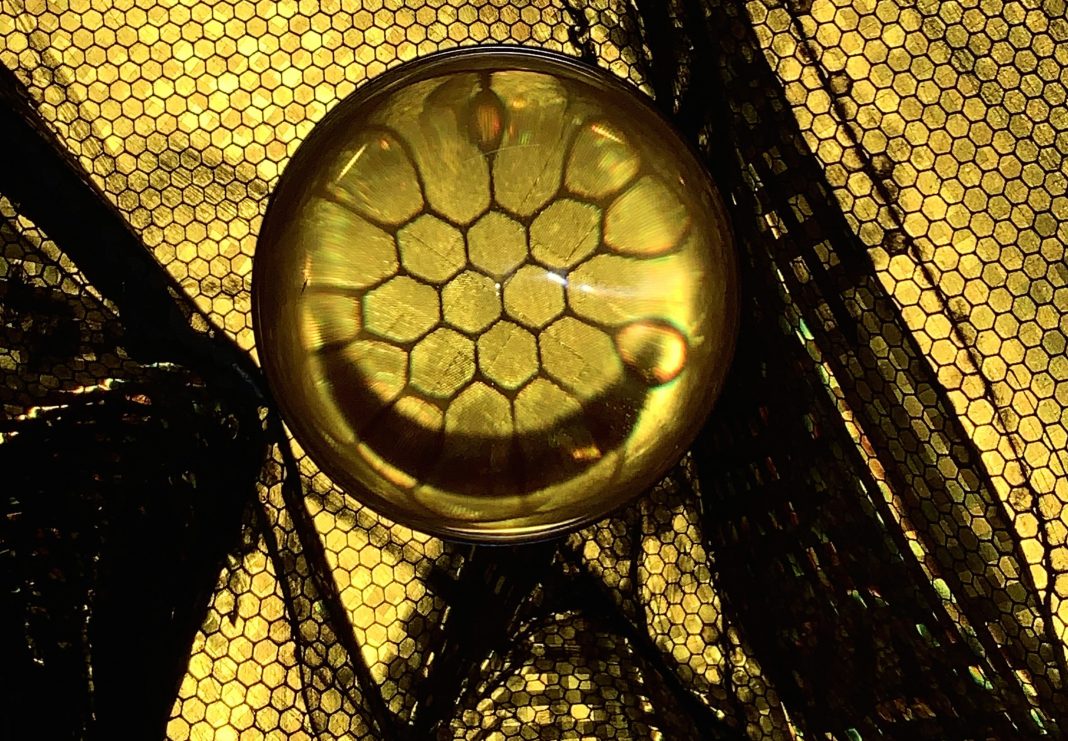 Stefano Comensoli / Nicolò Colciago – Lì dove nascono le forme del ventohttps://www.exibart.com/repository/media/2020/01/OZ1_Stefano-Comensoli_Nicolò-Colciago-Madreperla-2020-detail.-Courtesy-the-artists-and-Otto-Zoo-1068x741.jpg