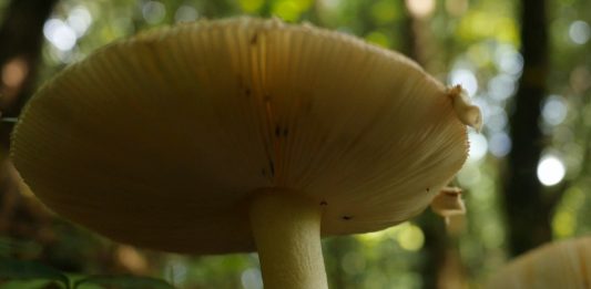 Art Encounters: al Volvo Studio di Milano, tre immagini dal climate change