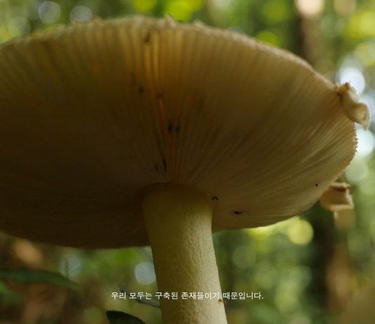 Art Encounters: al Volvo Studio di Milano, tre immagini dal climate change