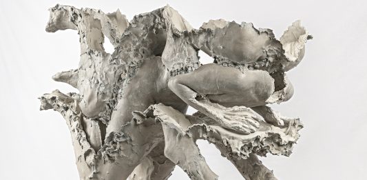 Juliana Cerqueira Leite da Alma Zevi, Venezia Cerqueira Venezia