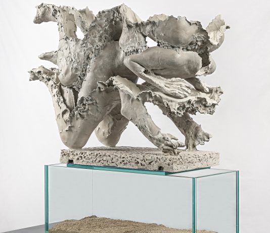 Juliana Cerqueira Leite da Alma Zevi, Venezia Cerqueira Venezia