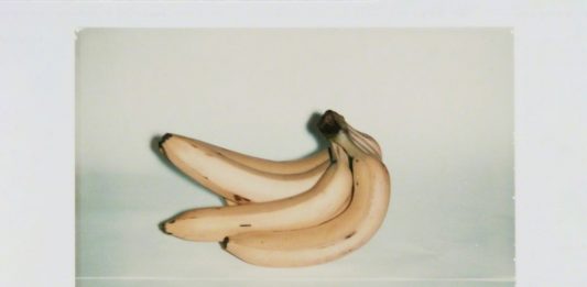 Dietro l’obiettivo: le foto di Andy Warhol in mostra a New York Uno degli scatti presenti alla mostra di fotografie di Andy Warhol (Courtesy: Andy Warhol Foundation For The Visual Arts/Artists Rights Society (ars), New York)