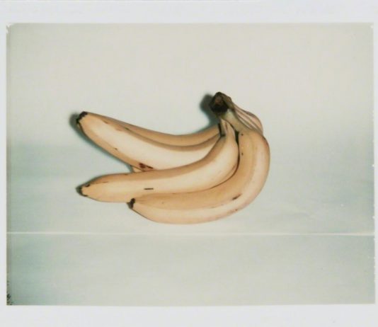 Dietro l’obiettivo: le foto di Andy Warhol in mostra a New York Uno degli scatti presenti alla mostra di fotografie di Andy Warhol (Courtesy: Andy Warhol Foundation For The Visual Arts/Artists Rights Society (ars), New York)