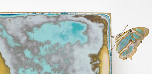 Bologna Indie Art City Tour: da Strada Maggiore a Stalingrado