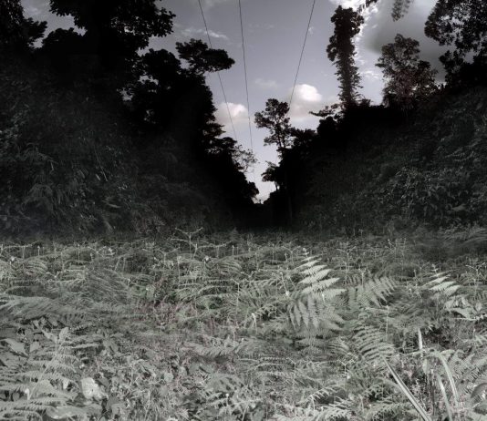 Tre artisti italiani per Under the spell of Africa: il racconto del progetto Opera per Under the spell of Africa