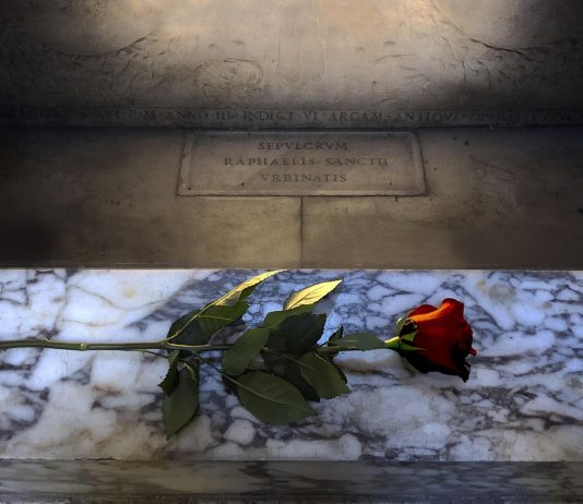 Una rosa per Raffaello: iniziano le celebrazioni per il cinquecentenario Una rosa per il cinqecentenario di Raffaello