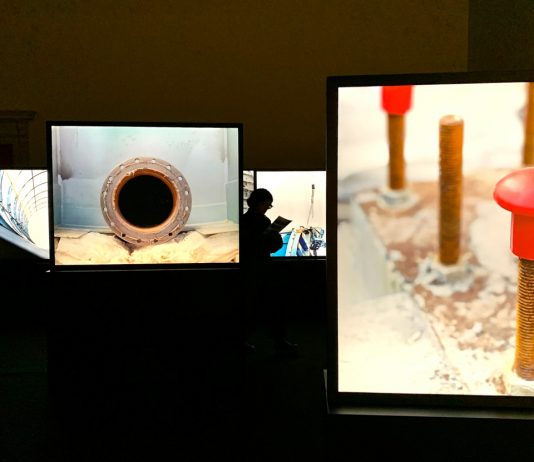 L’industria romantica di Silvia Camporesi allo Spazio Carbonesi di Bologna