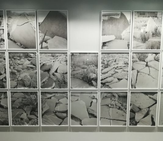 Arte Fiera 2020. Torna la mostra “Courtesy Emilia Romagna” e stavolta l’Opera è Aperta