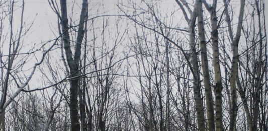 La galleria Minini si sdoppia, per raccontare Yona Friedman