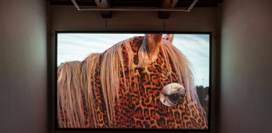 Zhanna Kadyrova e la storia di Villa Pacchiani Zhanna Kadyrova