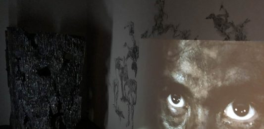 Bi-City Biennale tra coronavirus e futuro. Intervista a Fabio Cavallucci Bi-City Biennale