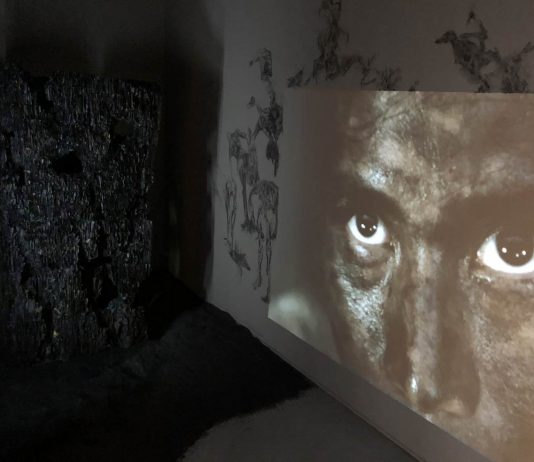 Bi-City Biennale tra coronavirus e futuro. Intervista a Fabio Cavallucci Bi-City Biennale