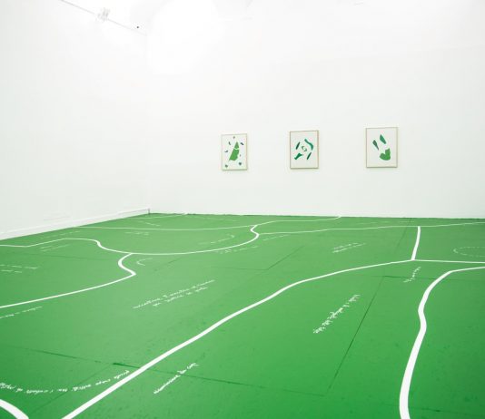 Cesare Viel, Scrivere il giardino | Pinksummer