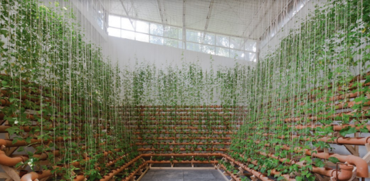 Anticipazioni dalla Biennale di São Paulo 2020: arte e politica in relazione