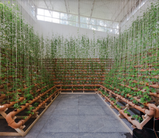 Anticipazioni dalla Biennale di São Paulo 2020: arte e politica in relazione