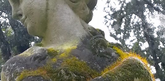 Giovanni Kronenberg da Renata Fabbri, Milano Kronenberg Fabbri