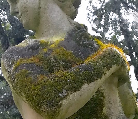 Giovanni Kronenberg da Renata Fabbri, Milano Kronenberg Fabbri