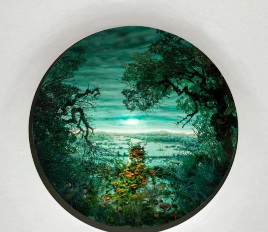 Piccoli, grandi mondi surreali di Patrick Jacobs da The Pool NYC, Milano