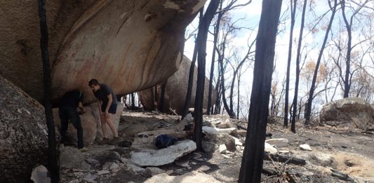 In Australia, un sito di arte rupestre aborigena distrutto dagli incendi Arte rupestre aborigena danneggata dagli incendi in Australia