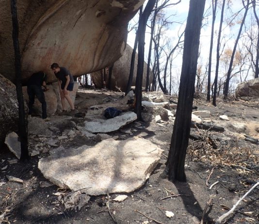 In Australia, un sito di arte rupestre aborigena distrutto dagli incendi Arte rupestre aborigena danneggata dagli incendi in Australia