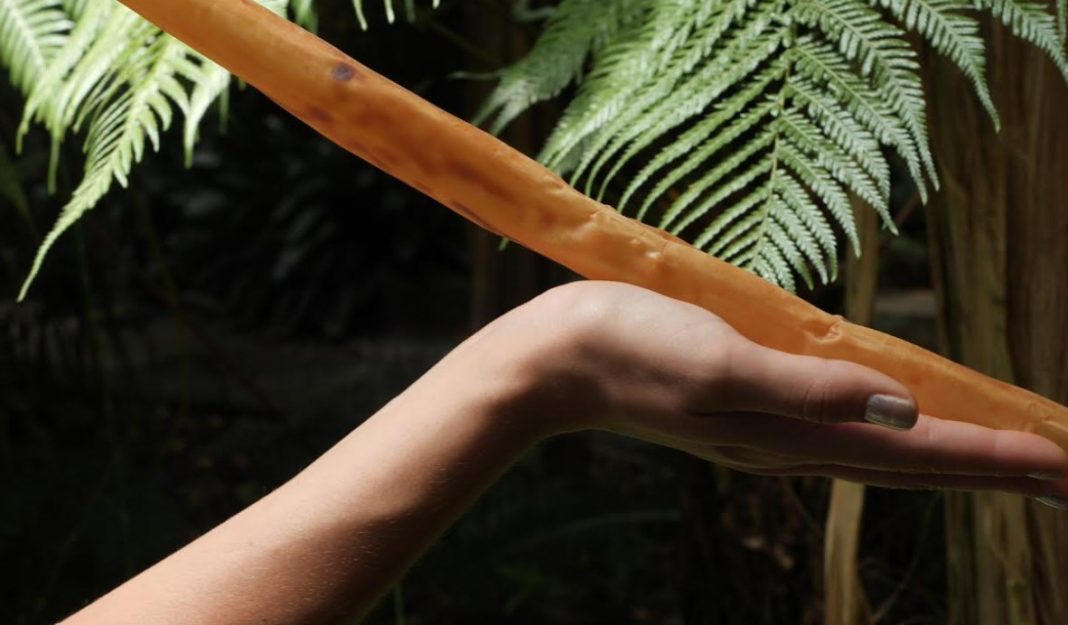 Mercedes Azpilicueta – Bestiario de Lengüitashttps://www.exibart.com/repository/media/2020/02/az-1068x625.jpg