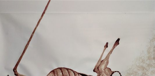 Curatio Vulneris: una doppia personale al femminile, per il CRAC modenese