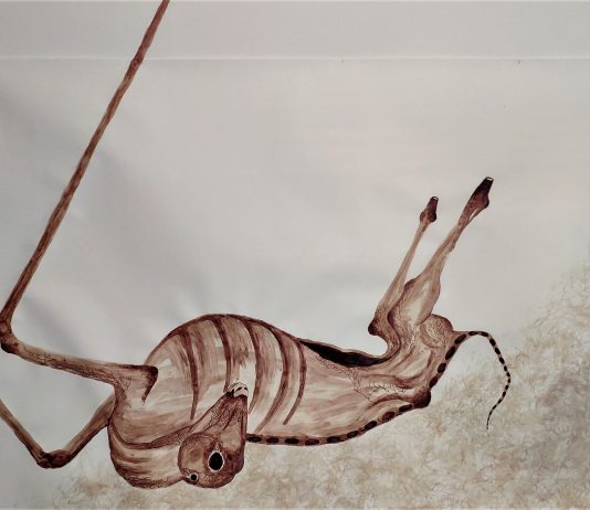 Curatio Vulneris: una doppia personale al femminile, per il CRAC modenese