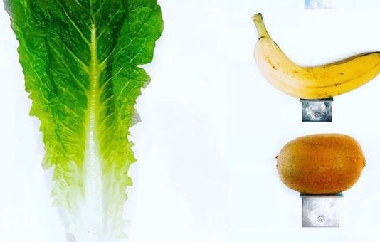 Dopo la banana di Cattelan, David Datuna ha ancora fame