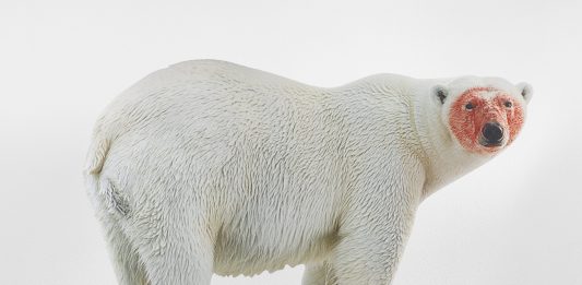 Rivoluzione e collezionismo: XNL Piacenza Contemporanea apre le porte