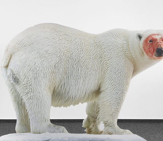 Rivoluzione e collezionismo: XNL Piacenza Contemporanea apre le porte