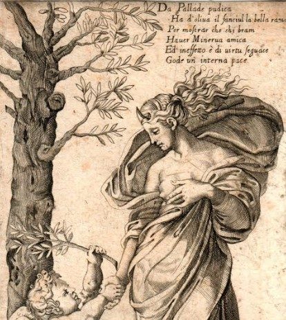 Raffaello e l’incisione europea dal Cinquecento all’Ottocento Raffaello e l’incisione europea dal Cinquecento all’Ottocento