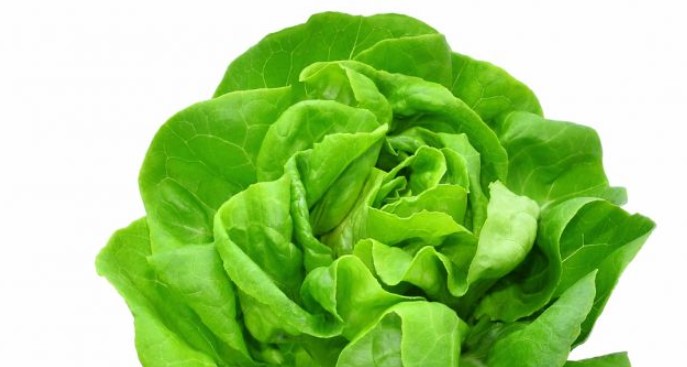 Cosimo Veneziano – Biomega Multiversohttps://www.exibart.com/repository/media/2020/02/ven.jpg