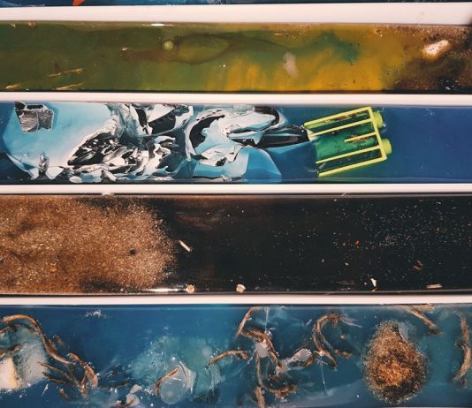 Effetto farfalla: cause ed effetti del climate change al Ghetto di Cagliari