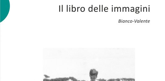 Cosa troverete nel Libro delle Immagini di Bianco Valente