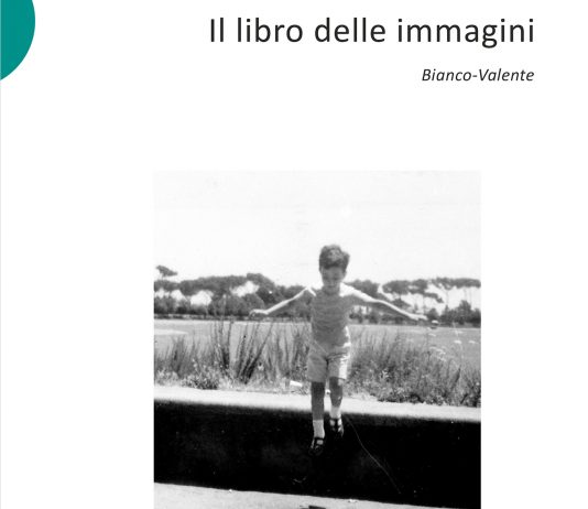 Cosa troverete nel Libro delle Immagini di Bianco Valente