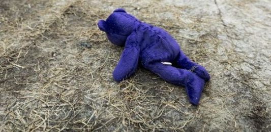 Kunsthaus Bregenz: Bunny Rogers con ‘Kind Kingdom’ Bunny Rogers