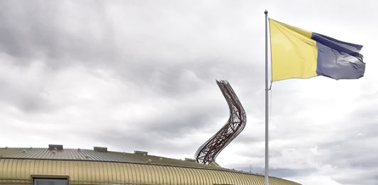 Centro Pecci Extra ogni giorno un nuovo contenuto online, ogni settimana una bandiera d’artista