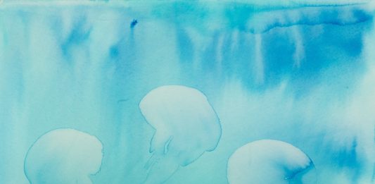 Maria Cristiana Fioretti, Il Colore dell’acqua | Acquario Civico di Milano Maria Cristiana Fioretti