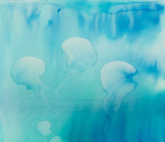 Maria Cristiana Fioretti, Il Colore dell’acqua | Acquario Civico di Milano Maria Cristiana Fioretti