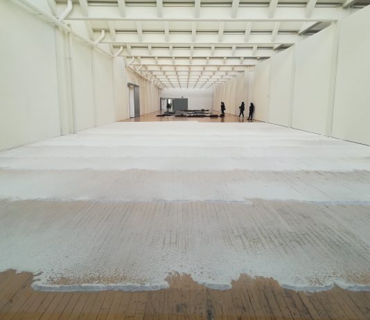 New York Art Week/ Lo spazio nelle forme dell’arte al DIA:Beacon New York DIA