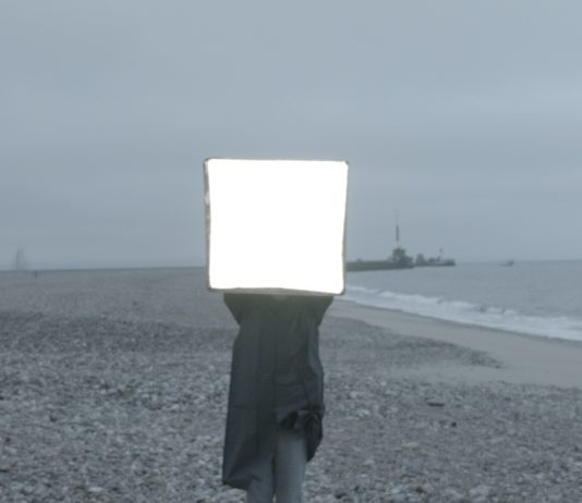 Lo Schermo dell’Arte e Mymovies, per lo streaming ai tempi della crisi