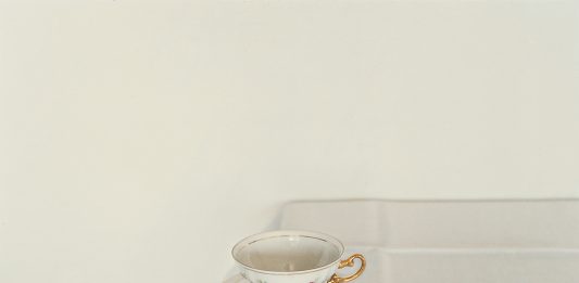 Fondazione Trussardi, il progetto online ‘Viaggi da camera’ gioni trussardi online